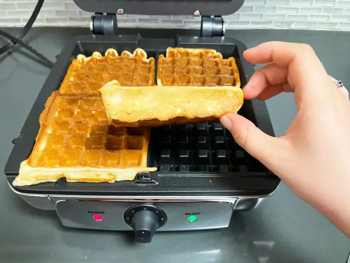 Best double waffle maker