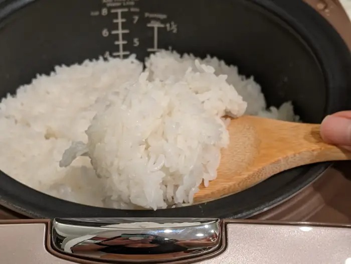 rice cooker